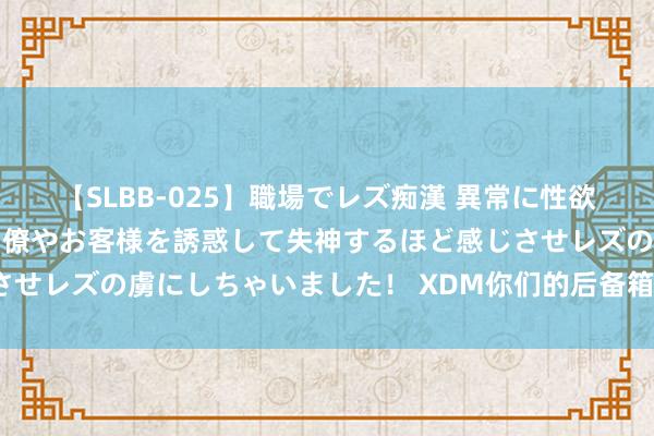 【SLBB-025】職場でレズ痴漢 異常に性欲の強い私（真性レズ）同僚やお客様を誘惑して失神するほど感じさせレズの虜にしちゃいました！ XDM你们的后备箱皆放了些什么？