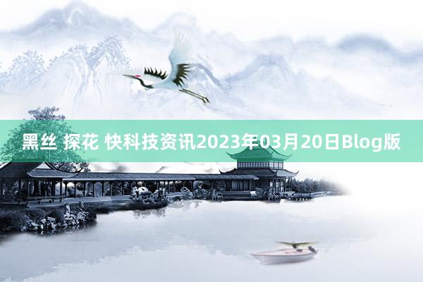 黑丝 探花 快科技资讯2023年03月20日Blog版