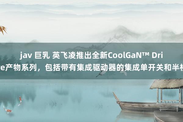 jav 巨乳 英飞凌推出全新CoolGaN™ Drive产物系列，包括带有集成驱动器的集成单开关和半桥