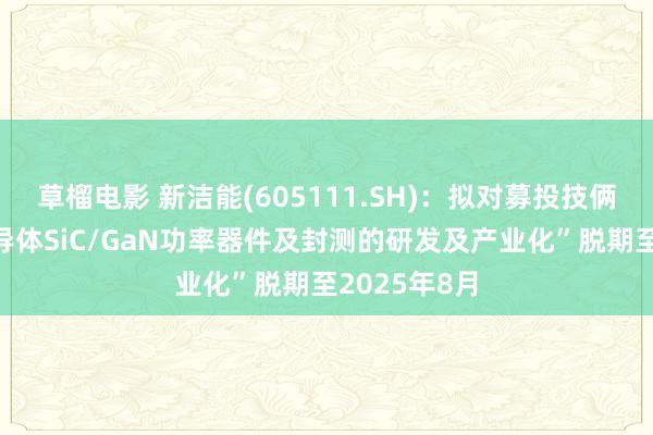 草榴电影 新洁能(605111.SH)：拟对募投技俩“第三代半导体SiC/GaN功率器件及封测的研发及产业化”脱期至2025年8月