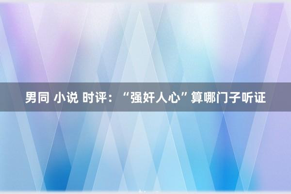 男同 小说 时评：“强奸人心”算哪门子听证