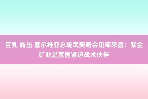 巨乳 露出 塞尔维亚总统武契奇会见邹来昌：紫金矿业是塞国紧迫战术伙伴