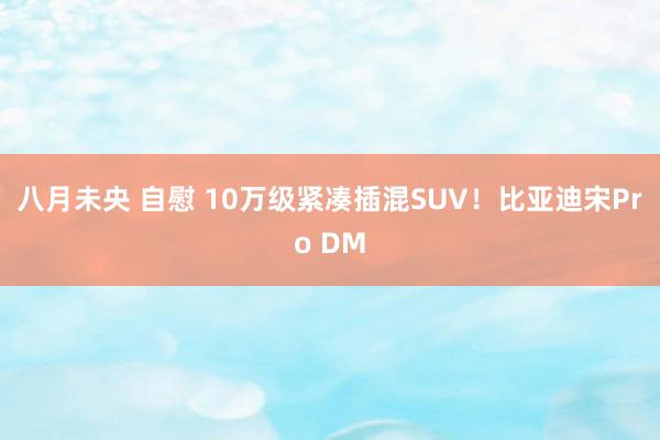 八月未央 自慰 10万级紧凑插混SUV！比亚迪宋Pro DM