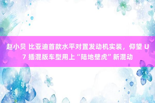 赵小贝 比亚迪首款水平对置发动机实装，仰望 U7 插混版车型用上“陆地壁虎”新混动