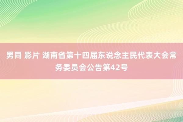 男同 影片 湖南省第十四届东说念主民代表大会常务委员会公告第42号