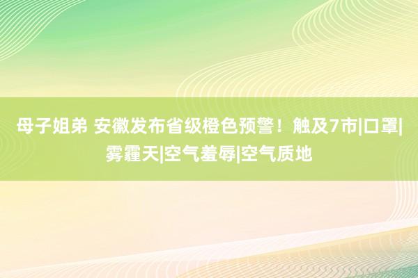 母子姐弟 安徽发布省级橙色预警！触及7市|口罩|雾霾天|空气羞辱|空气质地